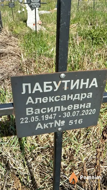 Лабутина Александра Васильевна