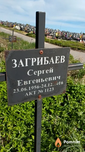 Загрибаев Сергей Евгеньевич