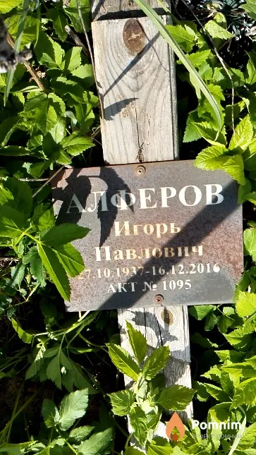 Алферов Игорь Павлович