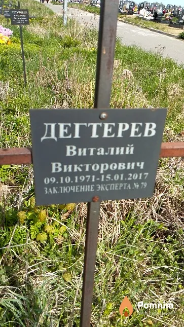 Дегтерев Виталий Викторович