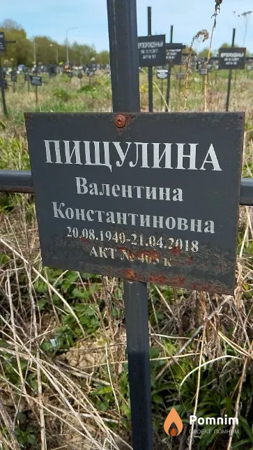 Пищулина Валентина Константиновна