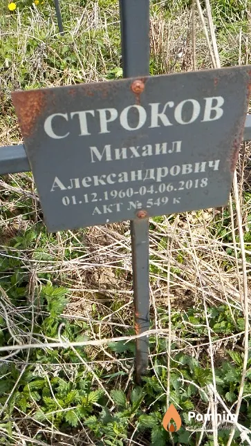 Строков Михаил Александрович