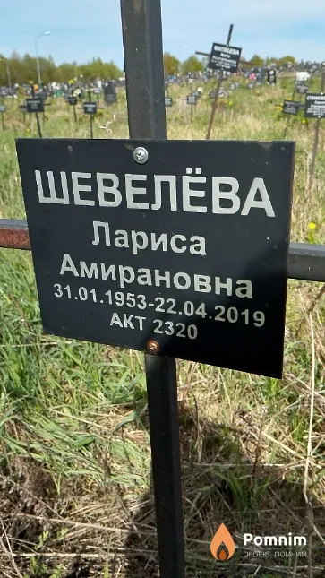 Шевелёва Лариса Амирановна