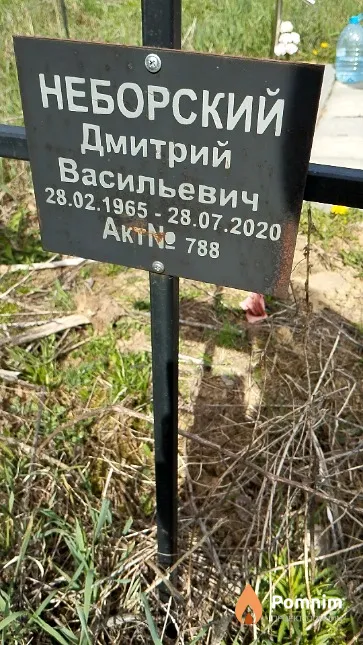 Неборский Дмитрий Васильевич