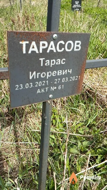 Тарасов Тарас Игоревич