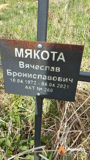 Мякота Вячеслав Брониславович