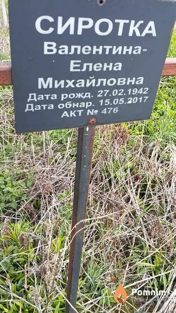 Сиротка Валентина-Елена Михайловна