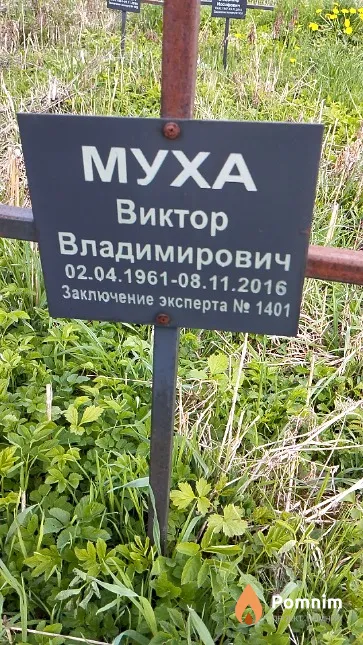 Муха Виктор Владимирович