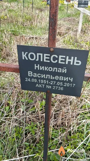 Колесень Николай Васильевич