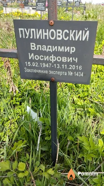 Пулиновский Владимир Иосифович