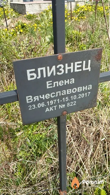 Близнец Елена Вячеславовна
