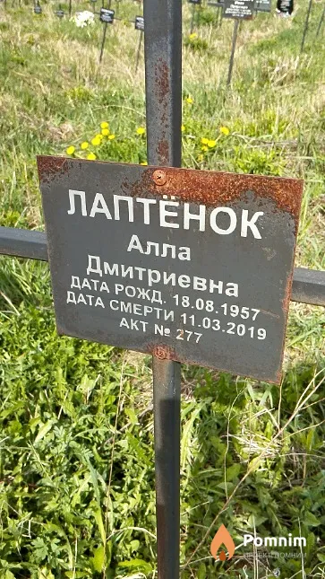 Лаптёнок Алла Дмитриевна