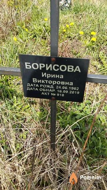 Борисова Ирина Викторовна