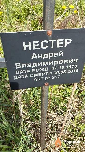 Нестер Андрей Владимирович