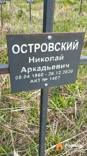 Островский Николай Аркадьевич