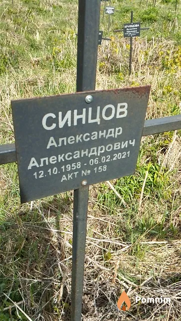Синцов Александр Александрович