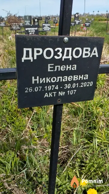 Дроздова Елена Николаевна