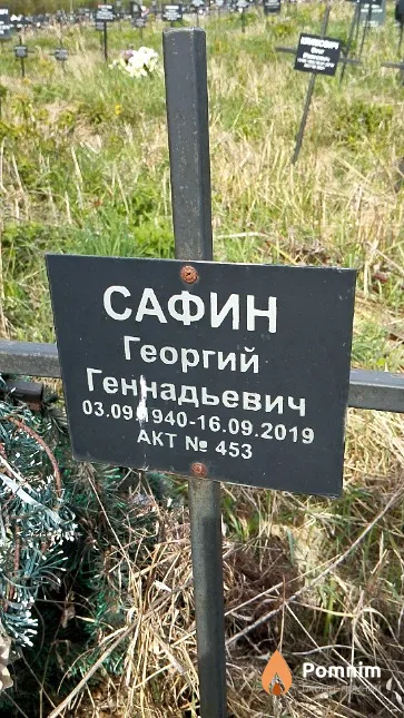 Сафин Георгий Геннадьевич