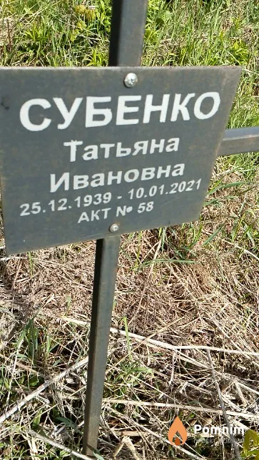 Субенко Татьяна Ивановна