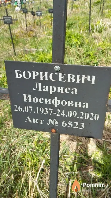 Борисевич Лариса Иосифовна
