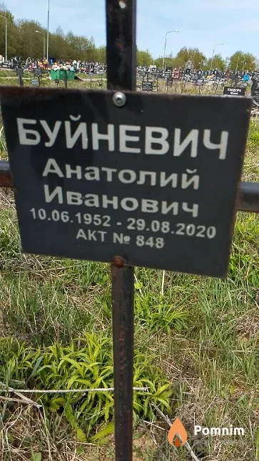 Буйневич Анатолий Иванович