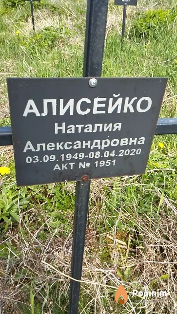 Алисейко Наталия Александровна