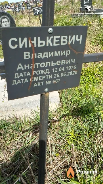 Синькевич Владимир Анатольевич