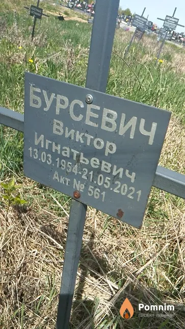 Бурсевич Виктор Игнатьевич