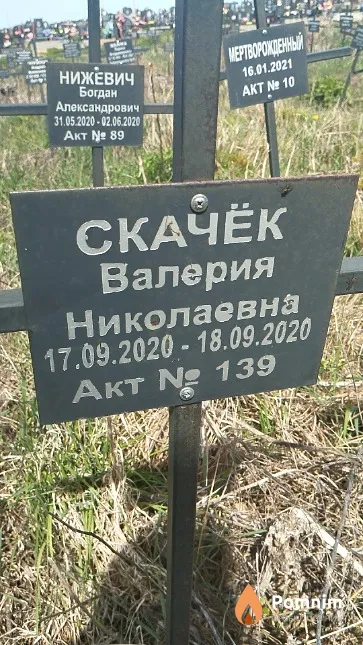 Скачёк Валерия Николаевна