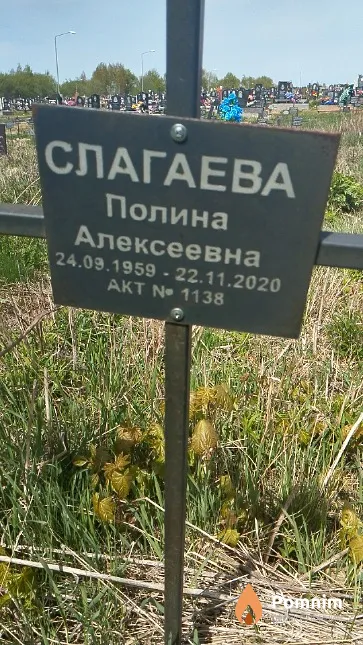 Слагаева Полина Алексеевна
