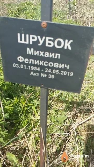 Шрубок Михаил Феликсович