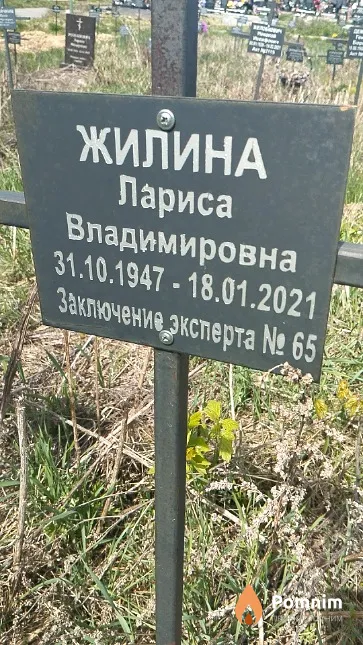 Жилина Лариса Владимировна