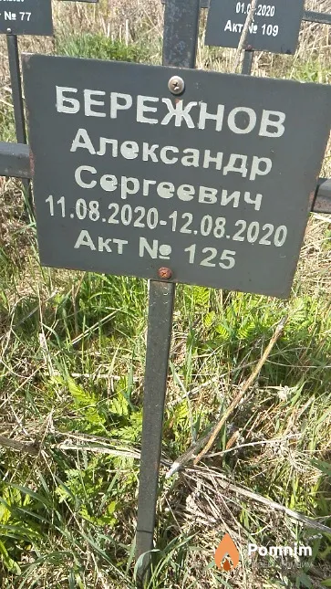 Бережнов Александр Сергеевич