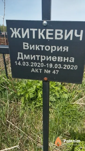Житкевич Виктория Дмитриевна