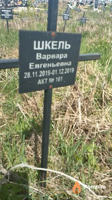 Шкель Варвара Евгеньевна