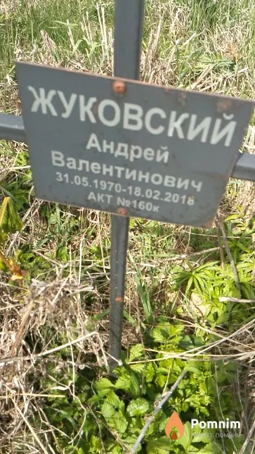 Жуковский Андрей Валентинович