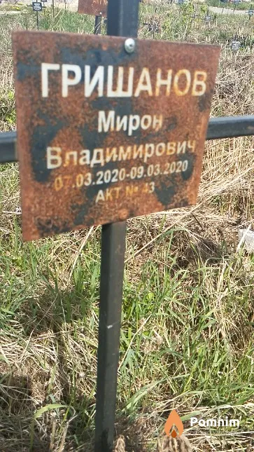 Гришанов Мирон Владимирович