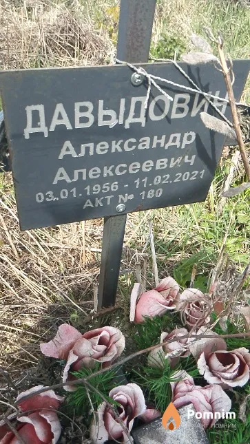 Давыдович Александр Алексеевич