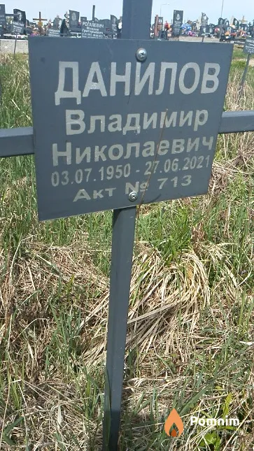 Данилов Владимир Николаевич