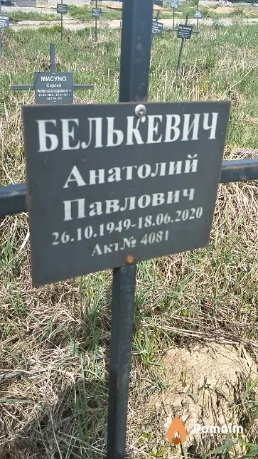 Белькевич Анатолий Павлович