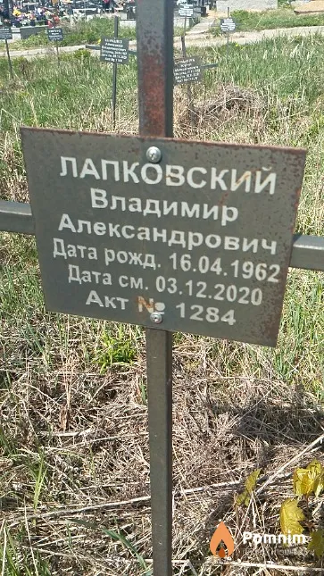 Лапковский Владимир Александрович