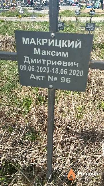 Макрицкий Максим Дмитриевич