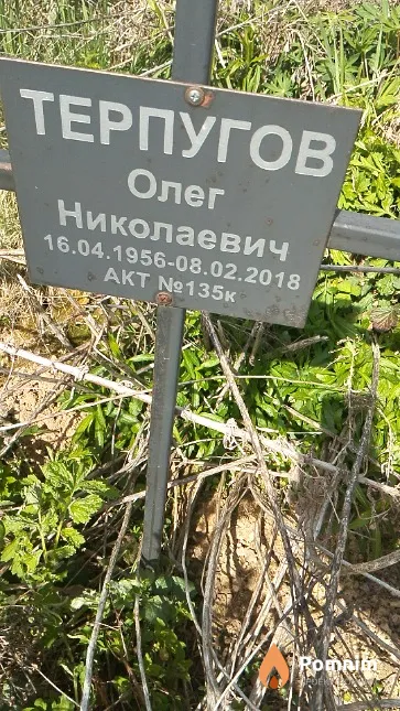 Терпугов Олег Николаевич