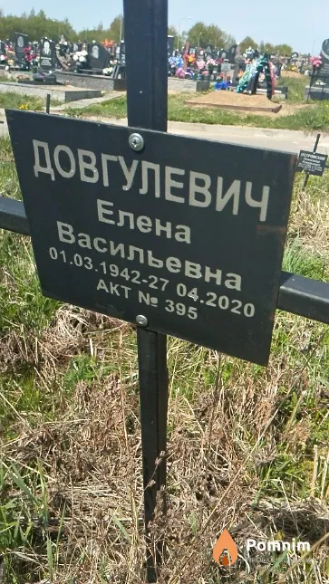 Довгулевич Елена Васильевна