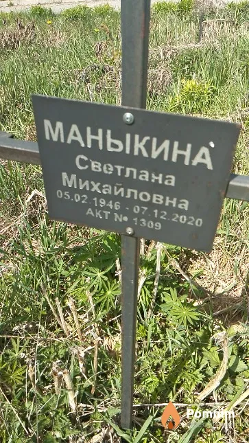 Маныкина Светлана Михайловна