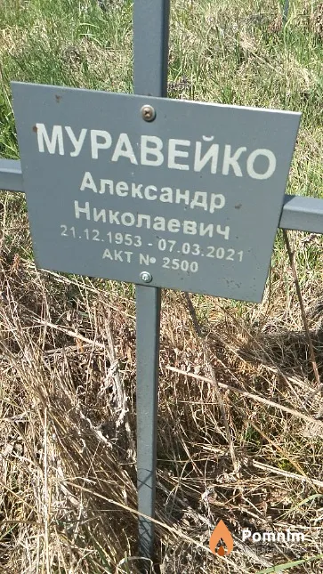 Муравейко Александр Николаевич