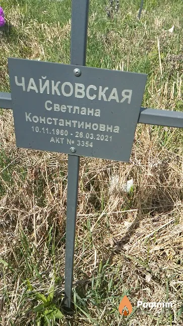 Чайковская Светлана Константиновна