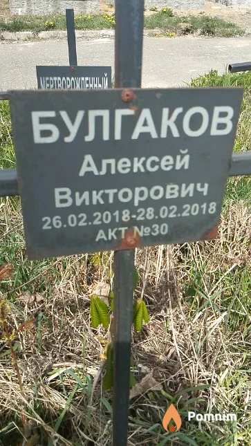 Булгаков Алексей Викторович