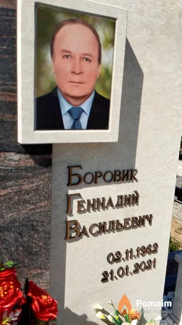 Боровик Геннадий Васильевич