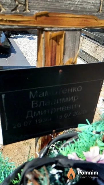 Мамотенко Владимир Дмитриевич